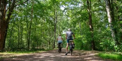 Complimentary Bike Rentals
